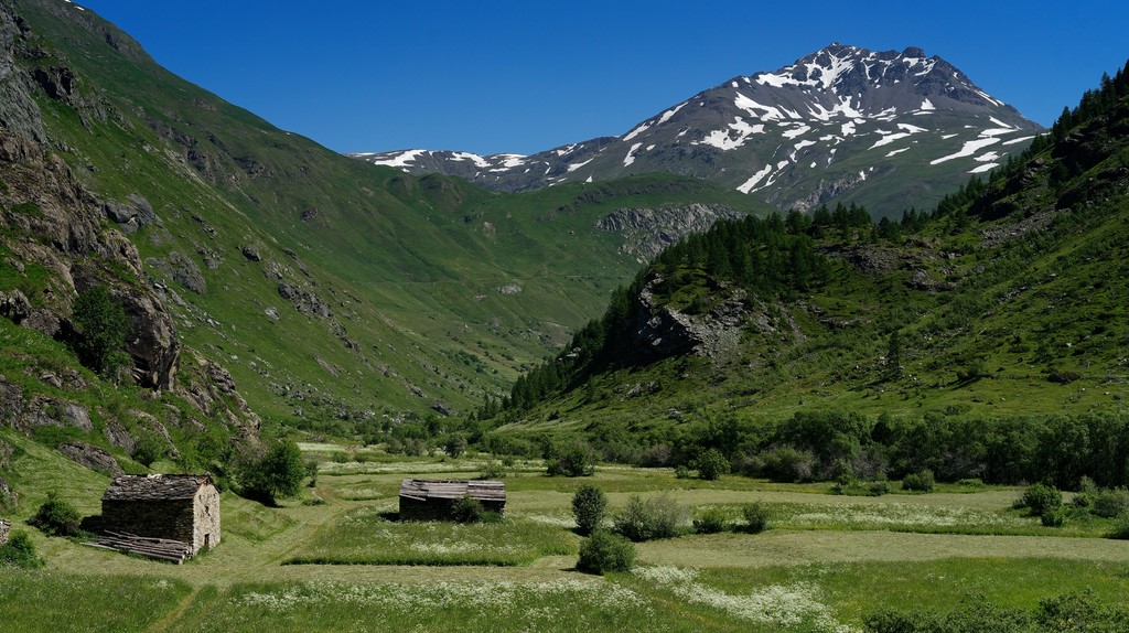 Haute Maurienne Vanoise