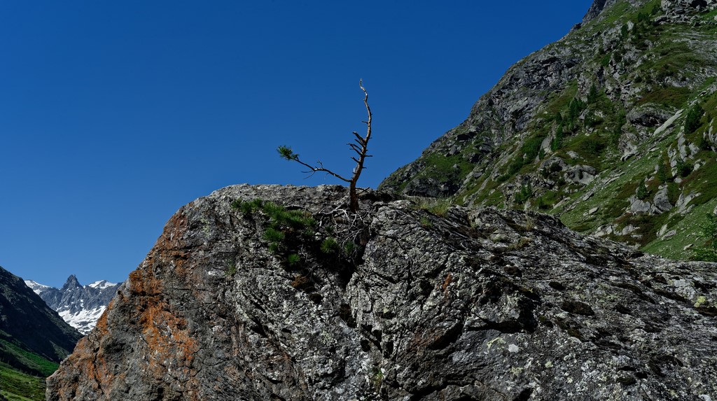 Haute Maurienne Vanoise
