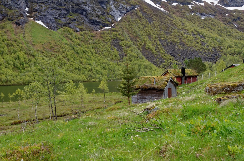 Croisière - Norvège