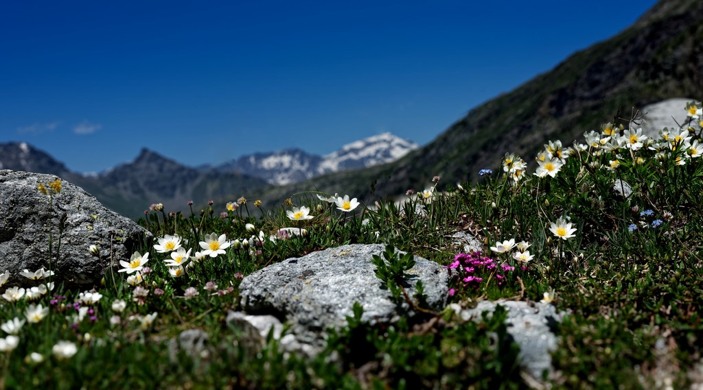 Haute Maurienne Vanoise