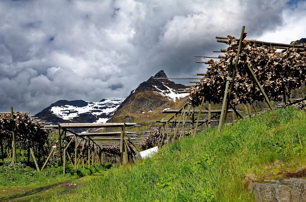 Croisière - Norvège