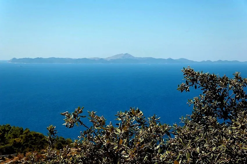 Mljet