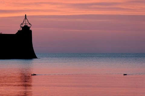 Collioure 