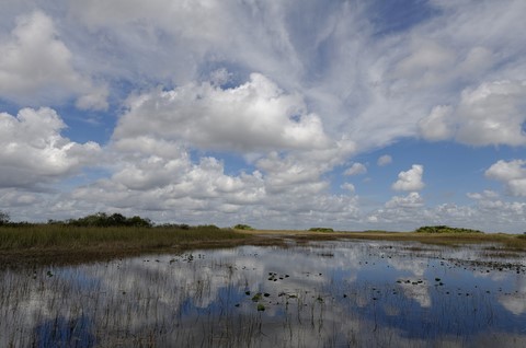 Everglades