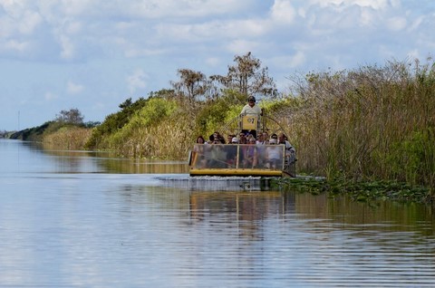 Everglades