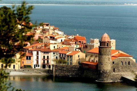 Collioure 