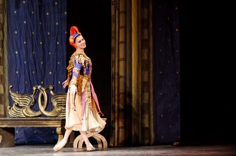 Le lac des cygnes (St Pétersbourg Ballet Théatre)