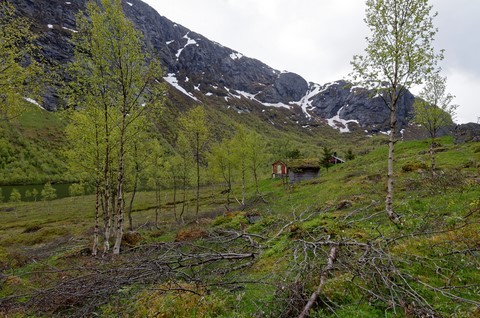 Croisière - Norvège