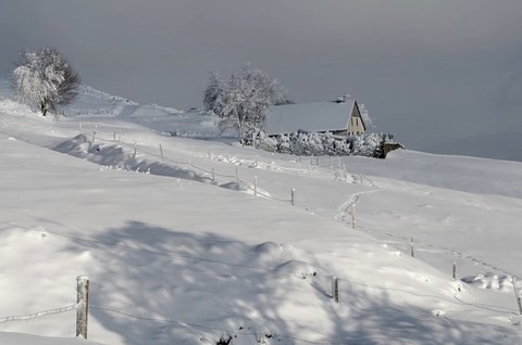 Roche des Chats - Vosges