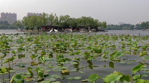 Chine, Parcs et jardins