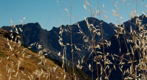 crêtes volcaniques