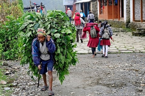 Balcon des Annapurnas