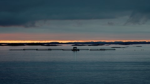 Croisière - Norvège