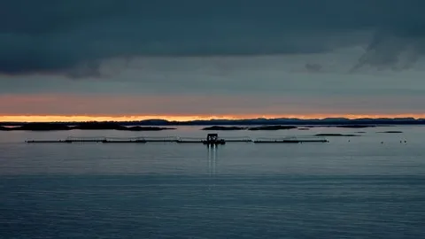 Croisière - Norvège