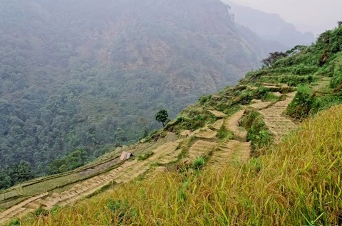 Landruk et Ghandruk