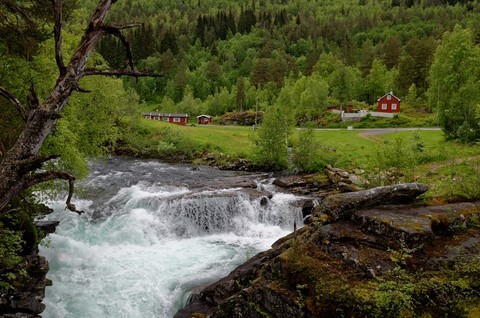 Croisière - Norvège