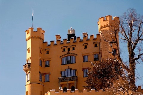 Château d'Hohenschwangaû