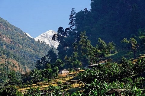 Balcon des Annapurnas