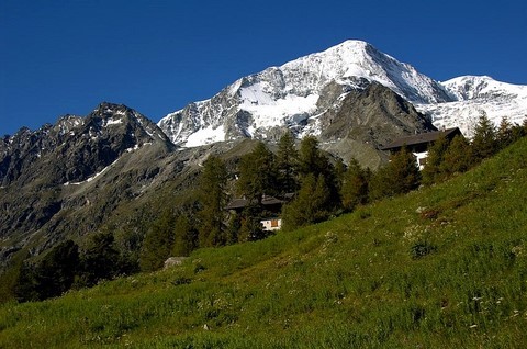 Pigne d' Arolla - 3796 m 