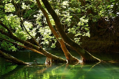 Parc National de Krka