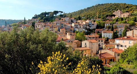 Bormes de Mimosas