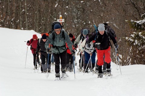 Vercors en raquettes