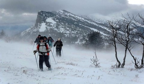 Plateaux du Vercors