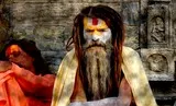Méditation et sagesse
